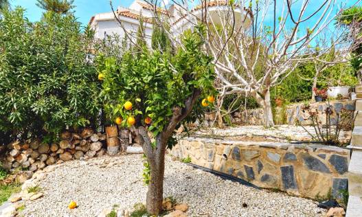 Bestaand - Villa - Campoamor - Dehesa de campoamor