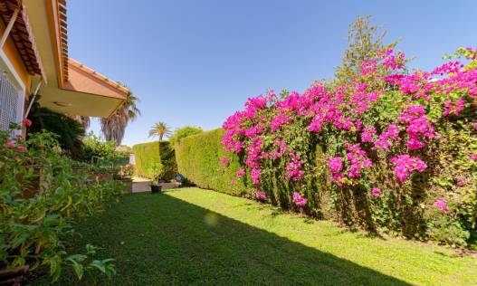Bestaand - Villa - Campoamor