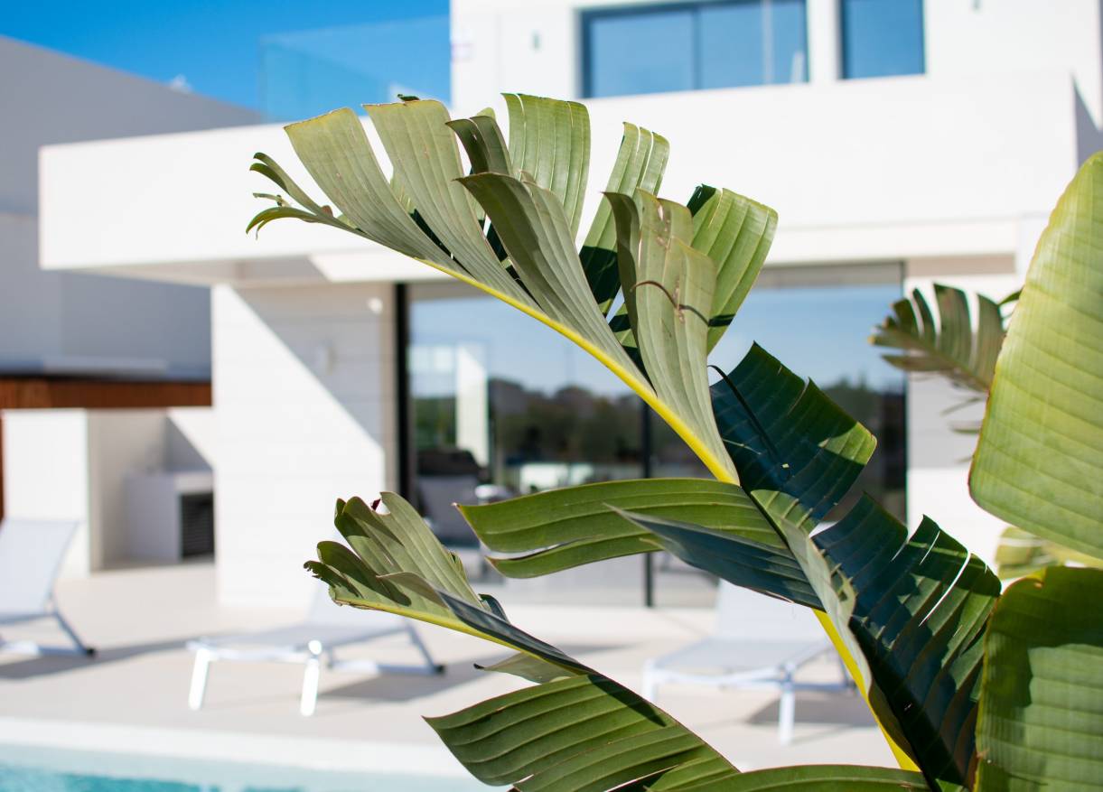 Bestaand - Villa - Los Montesinos