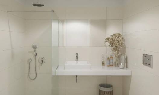 Nieuwbouw - Penthouse - Torrevieja