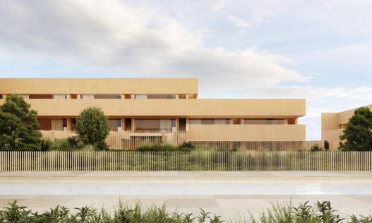 Nieuwbouw - Penthouse - Torrevieja