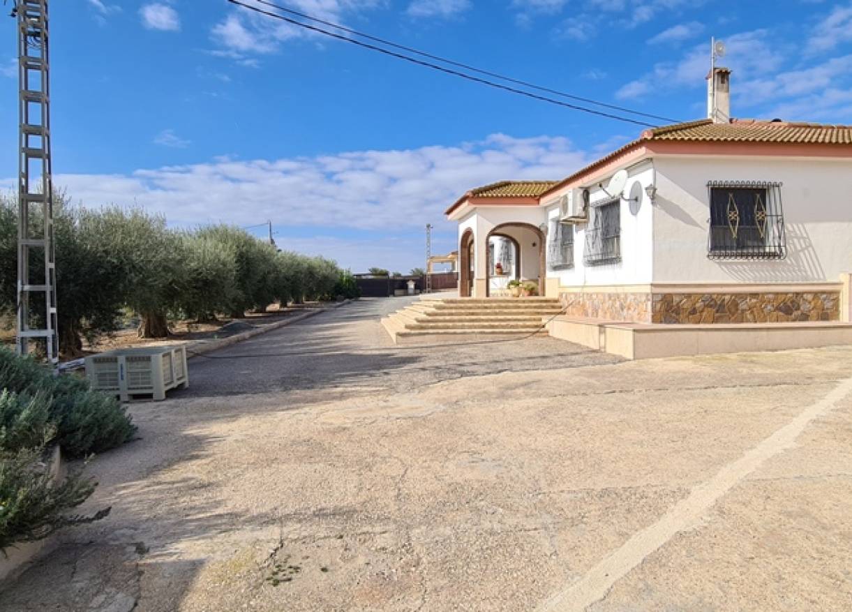 Bestaand - Villa - Orihuela Costa - Orihuela