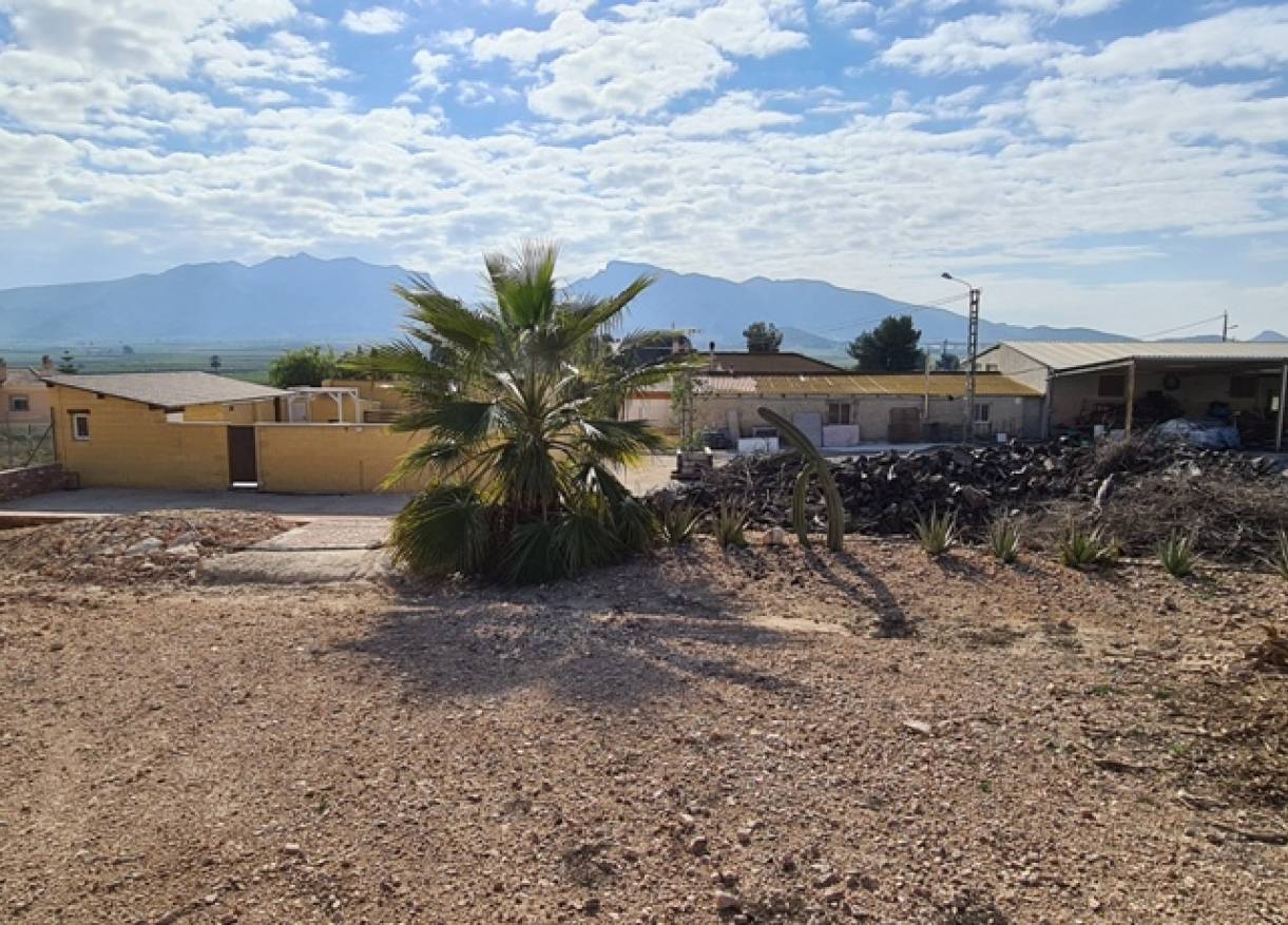 Bestaand - Villa - Orihuela Costa - Orihuela