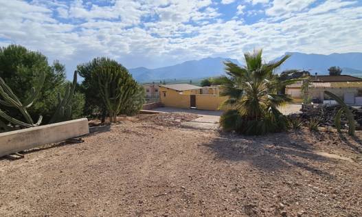 Bestaand - Villa - Orihuela Costa - Orihuela