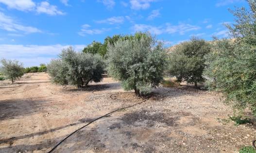 Bestaand - Villa - Orihuela Costa - Orihuela