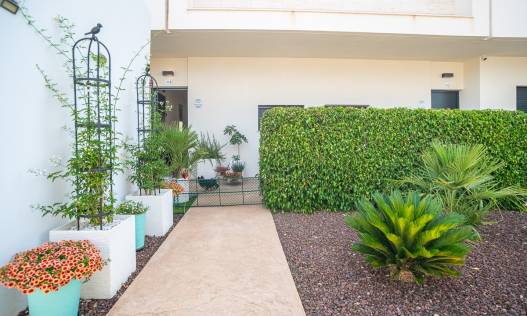 Bestaand - Appartement - Pilar de la Horadada - Lo Romero Golf