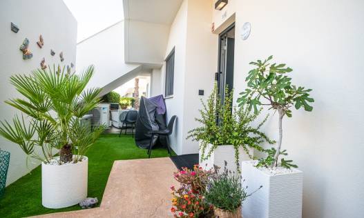 Bestaand - Appartement - Pilar de la Horadada - Lo Romero Golf