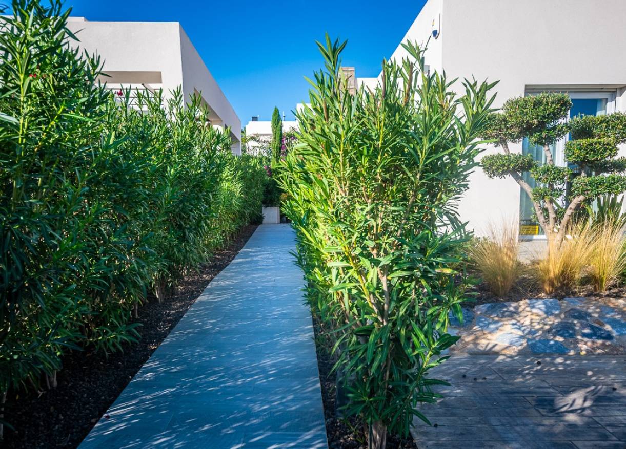 Bestaand - Villa - Algorfa - LA FINCA GOLF / ALGORFA