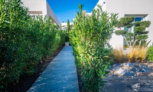 Bestaand - Villa - Algorfa - LA FINCA GOLF / ALGORFA