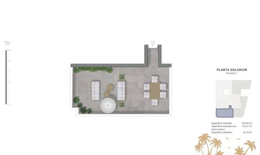 Nieuwbouw - Penthouse - Guardamar del segura - Pueblo