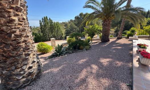 Bestaand - Villa - Algorfa - Lomas de La Juliana