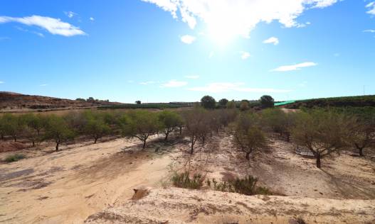 Bestaand - Bouwperceel - Torremendo - Torremendo - Country