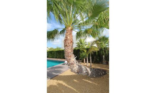 Bestaand - Villa - Rojales - Ciudad Quesada
