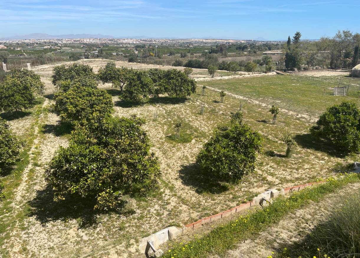 Bestaand - Villa - Guardamar del segura - Valencian Community