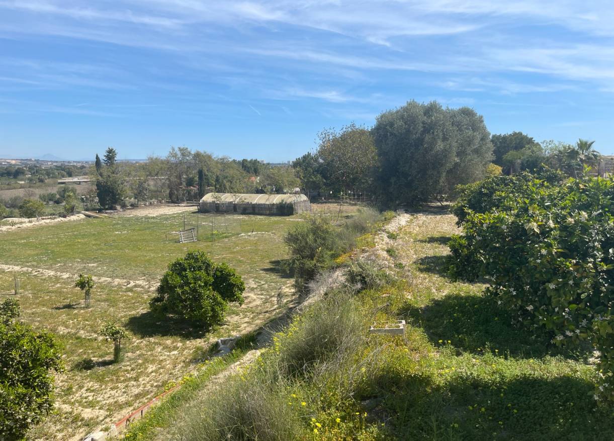 Bestaand - Villa - Guardamar del segura - Valencian Community