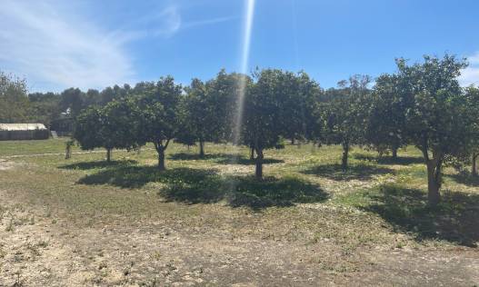 Bestaand - Villa - Guardamar del segura - Valencian Community