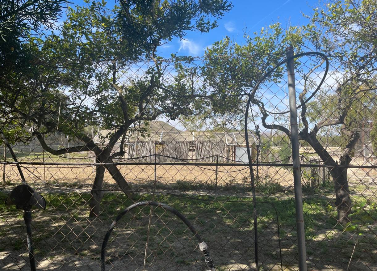 Bestaand - Villa - Guardamar del segura - Valencian Community