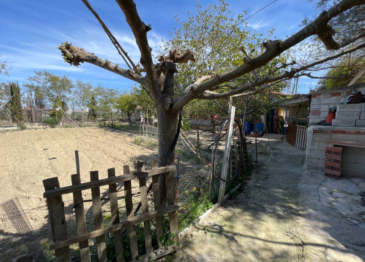 Bestaand - Villa - Guardamar del segura - Valencian Community