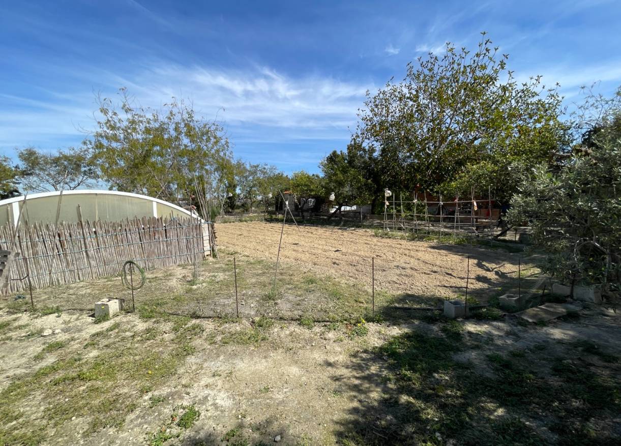 Bestaand - Villa - Guardamar del segura - Valencian Community