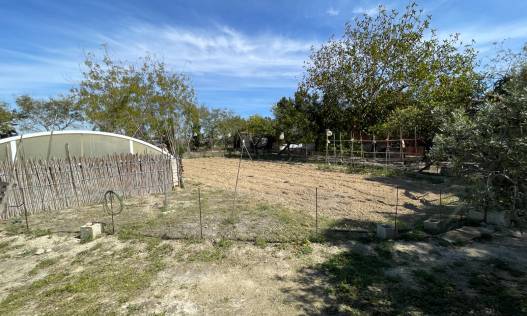 Bestaand - Villa - Guardamar del segura - Valencian Community
