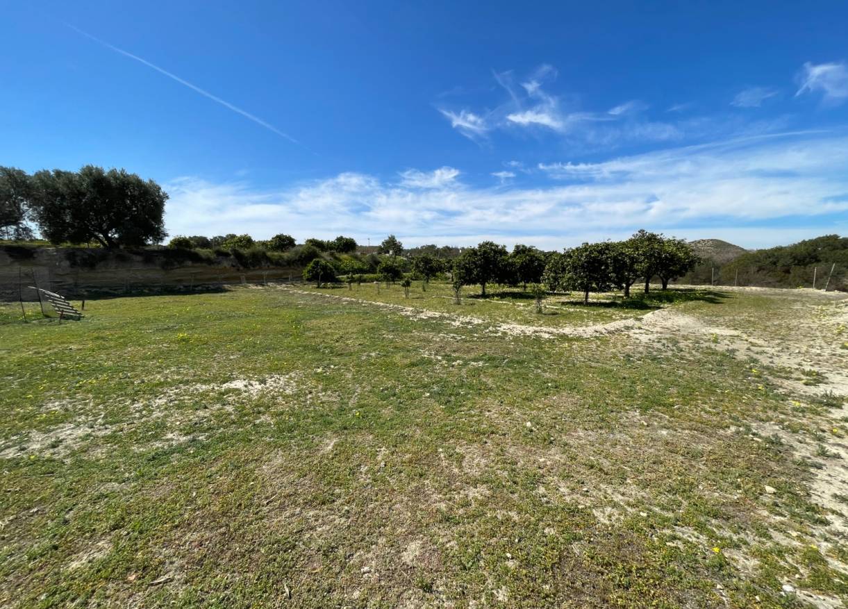 Bestaand - Villa - Guardamar del segura - Valencian Community