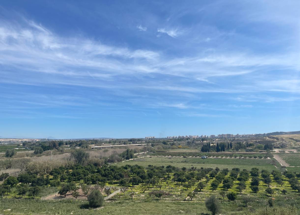 Bestaand - Villa - Guardamar del segura - Valencian Community