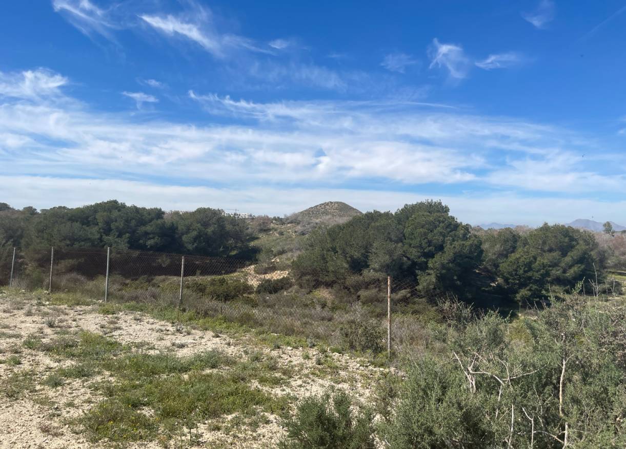 Bestaand - Villa - Guardamar del segura - Valencian Community
