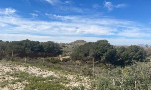 Bestaand - Villa - Guardamar del segura - Valencian Community