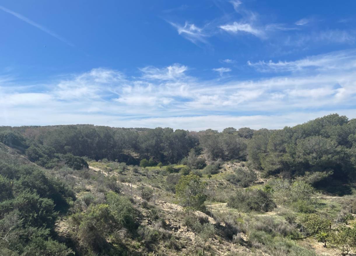 Bestaand - Villa - Guardamar del segura - Valencian Community