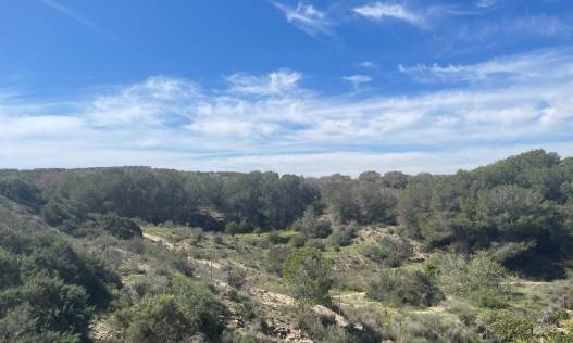 Bestaand - Villa - Guardamar del segura - Valencian Community