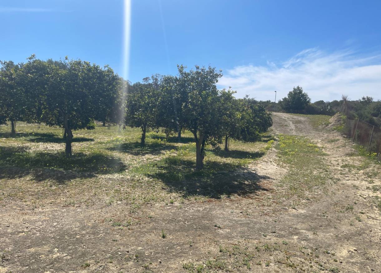 Bestaand - Villa - Guardamar del segura - Valencian Community