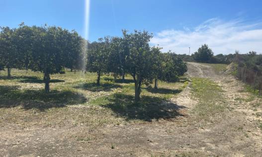 Bestaand - Villa - Guardamar del segura - Valencian Community