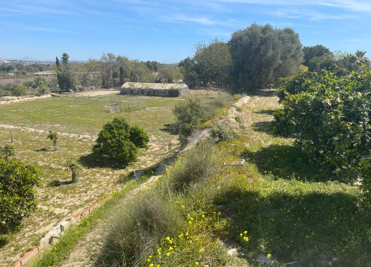 Bestaand - Villa - Guardamar del segura - Valencian Community
