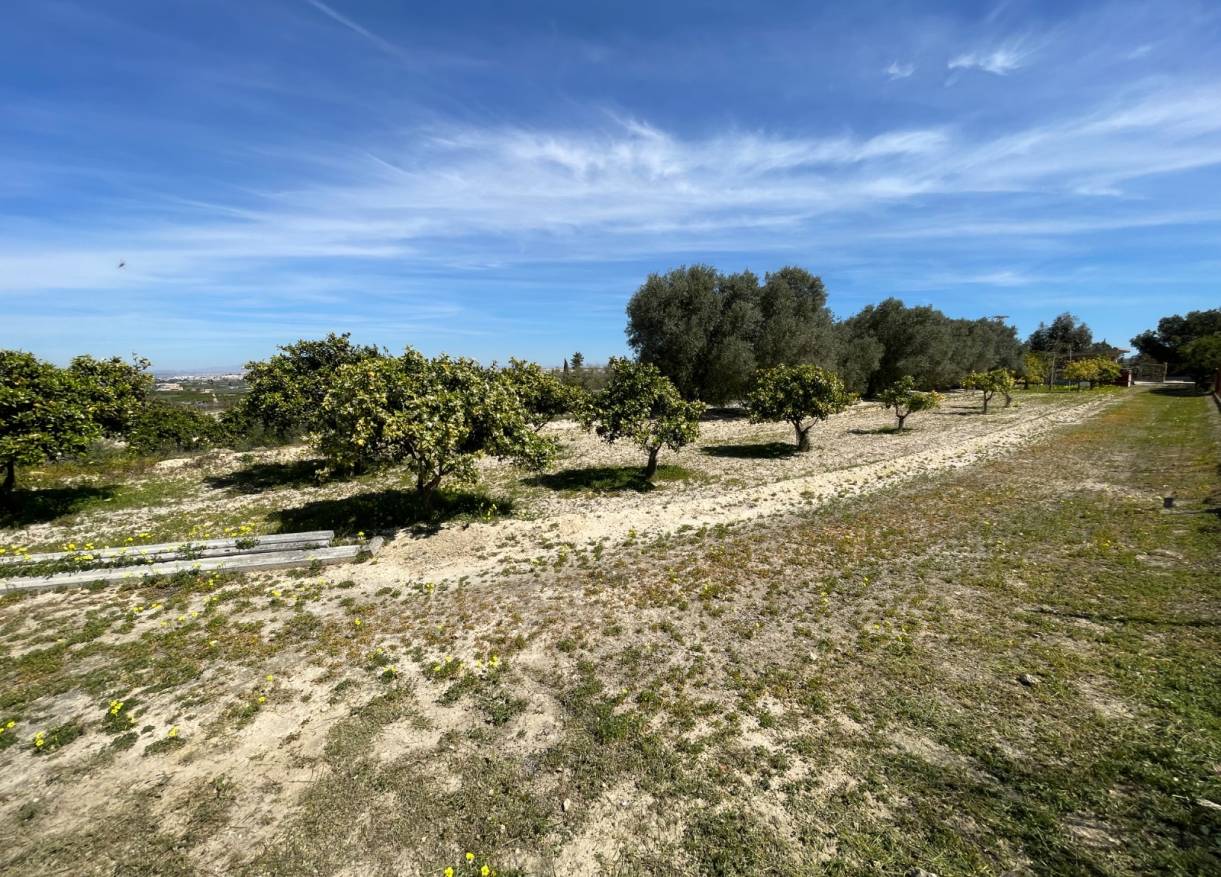 Bestaand - Villa - Guardamar del segura - Valencian Community
