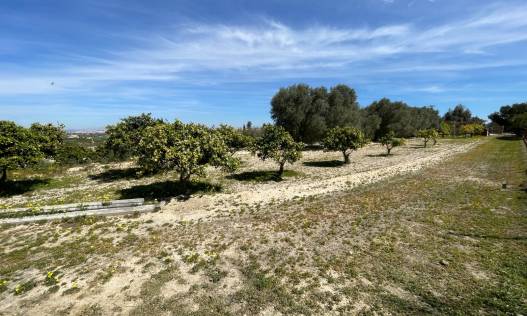 Bestaand - Villa - Guardamar del segura - Valencian Community