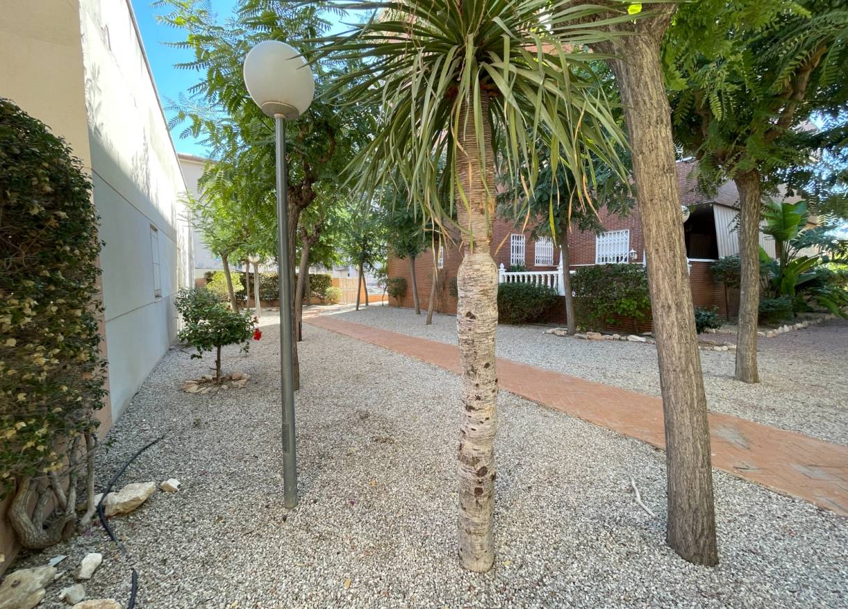 Bestaand - Townhouse / Semi-detached - Elche - Center