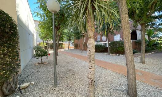 Bestaand - Townhouse / Semi-detached - Elche - Center