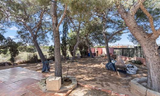 Bestaand - Villa - El Altet - San Francisco de Asis