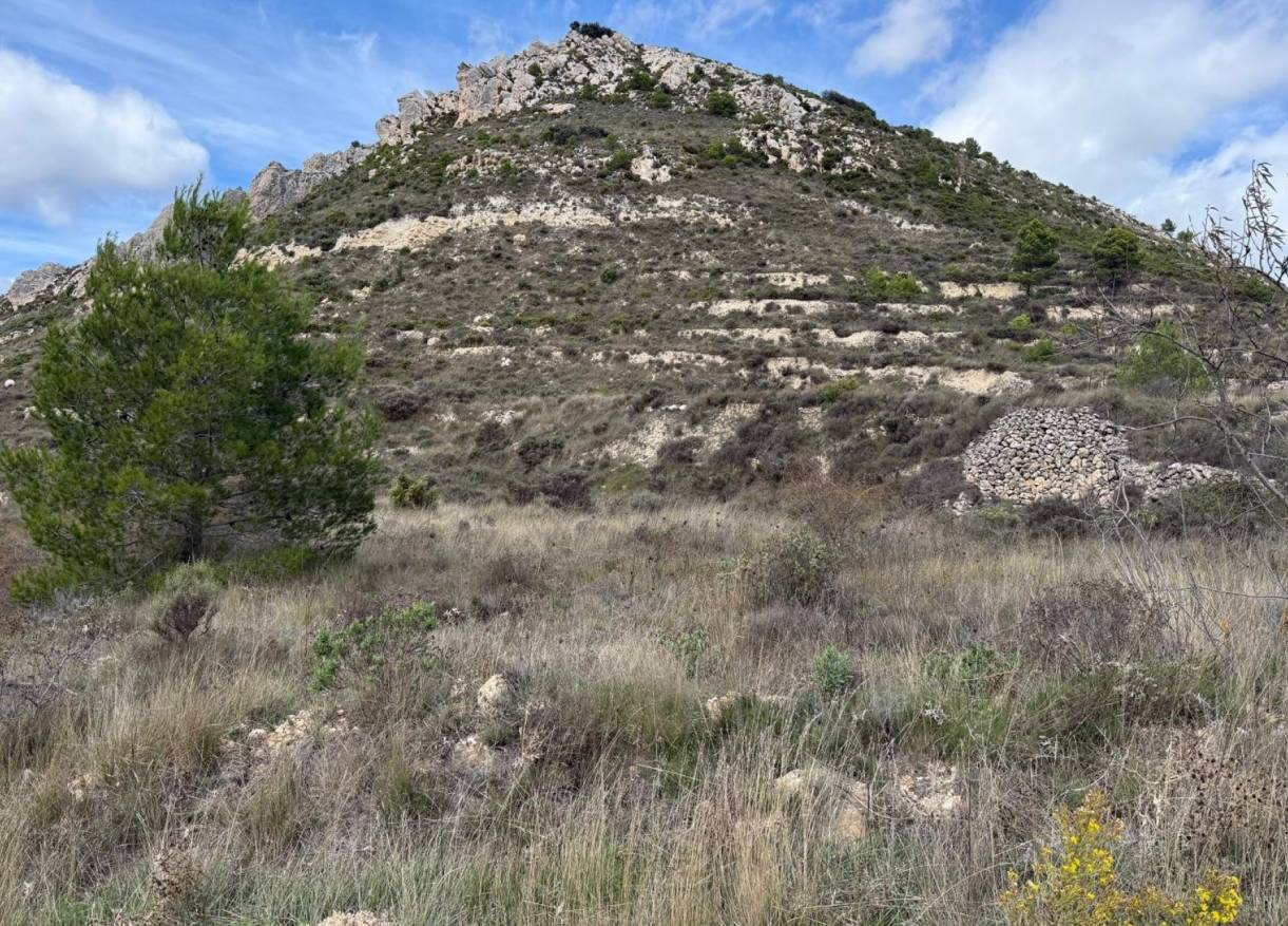 Bestaand - Bouwperceel - Confrides - Barranc de Xarquera