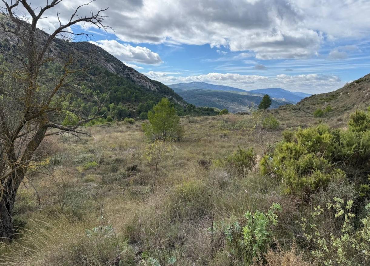 Bestaand - Bouwperceel - Confrides - Barranc de Xarquera
