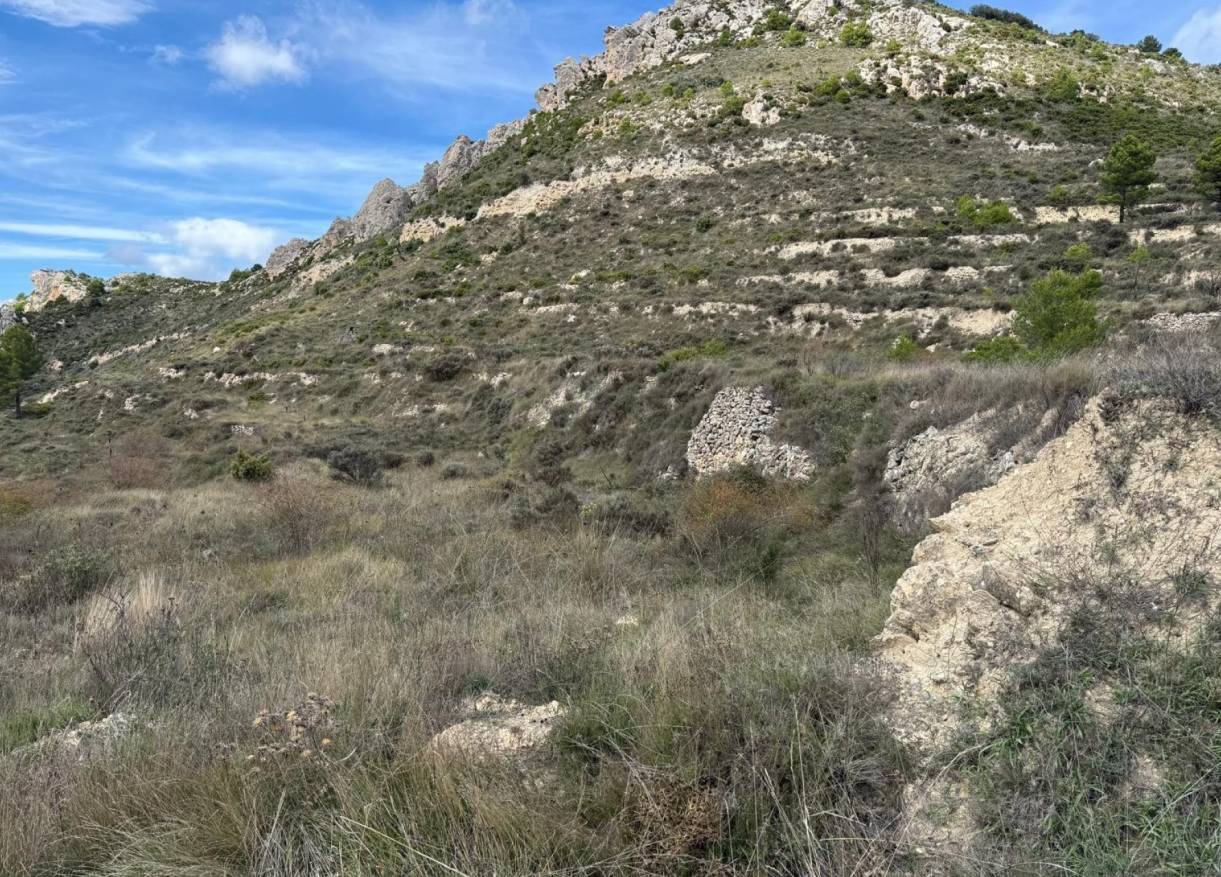 Bestaand - Bouwperceel - Confrides - Barranc de Xarquera