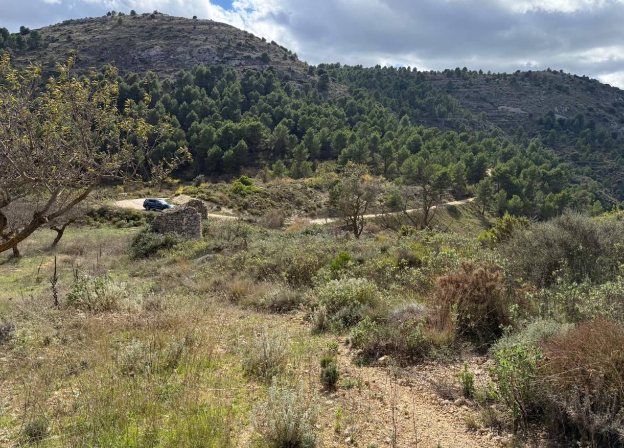 Bestaand - Bouwperceel - Confrides - Barranc de Xarquera