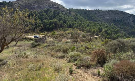 Bestaand - Bouwperceel - Confrides - Barranc de Xarquera