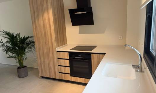 Nieuwbouw - Townhouse / Semi-detached - Pilar de la Horadada - pueblo