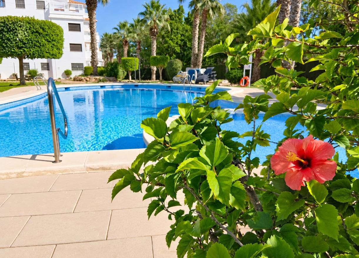 Vakantie verhuur - Appartement - Orihuela Costa - Villamartin