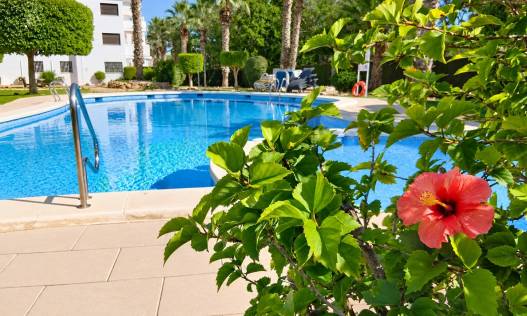 Vakantie verhuur - Appartement - Orihuela Costa - Villamartin