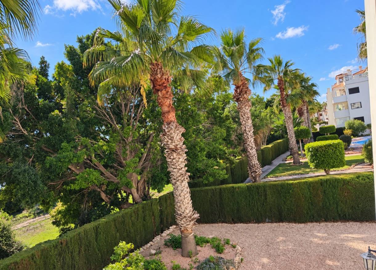 Vakantie verhuur - Appartement - Orihuela Costa - Villamartin